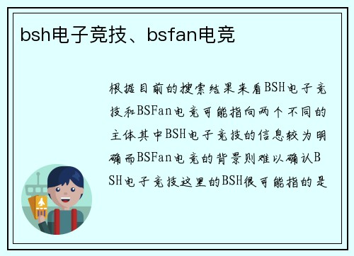 bsh电子竞技、bsfan电竞